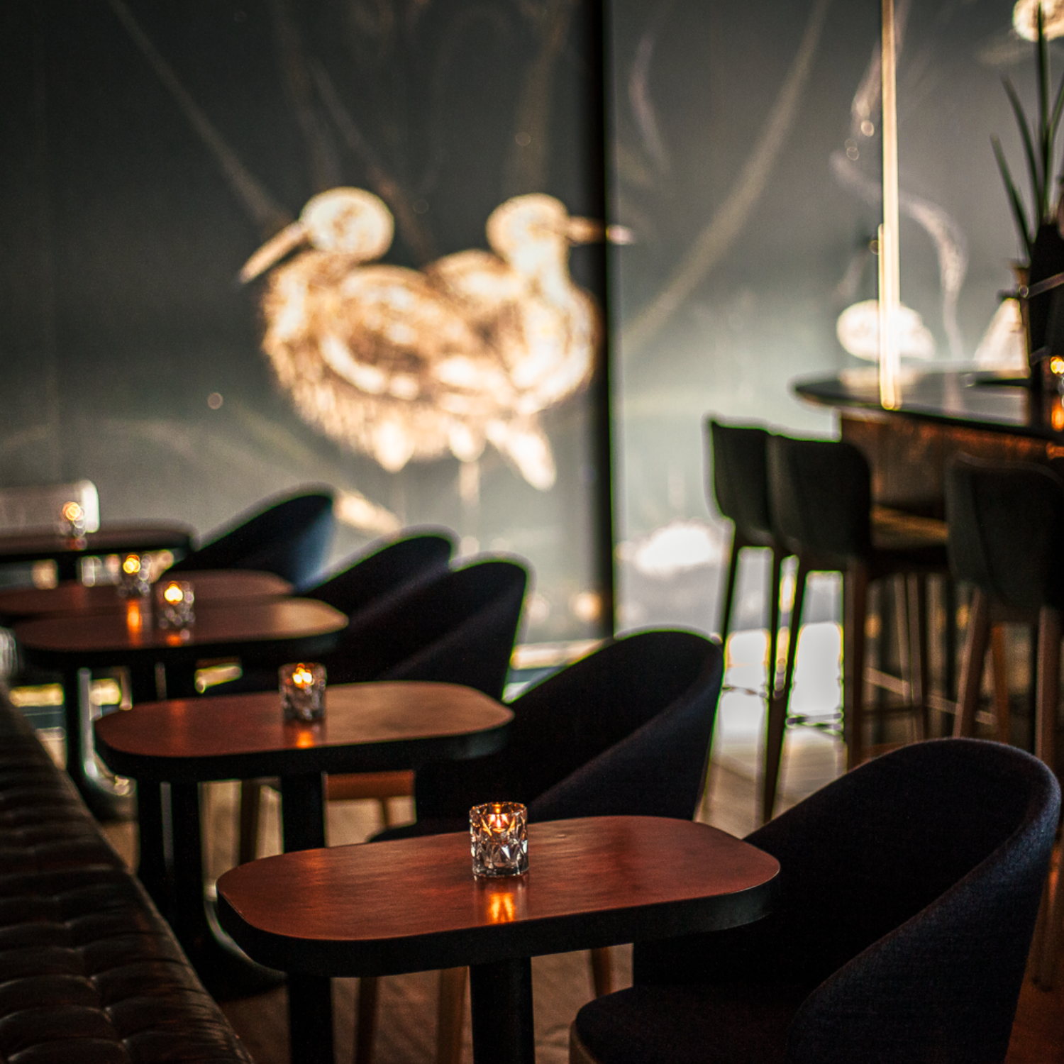 A photo of Alo restaurant