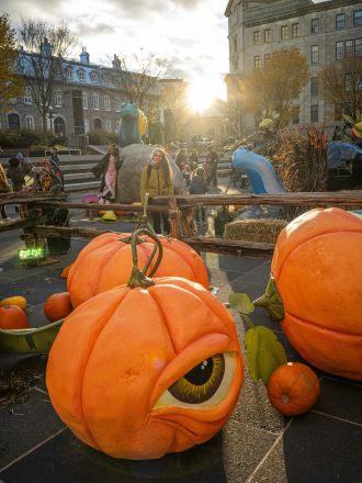 Big Pumpkins in a Canadian City