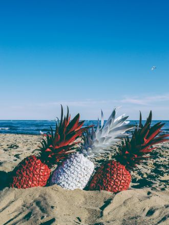 Red and white pineapples on a beach in Canada